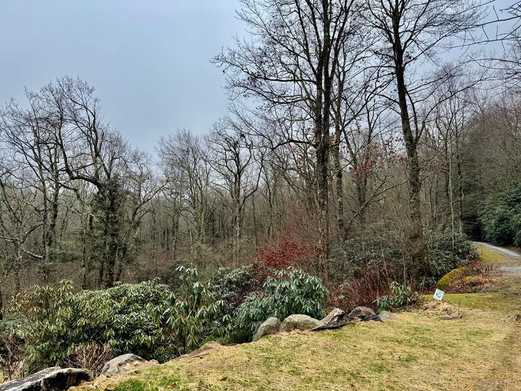 0 Satulah Ridge Road Highlands, NC 28741 - Photo 1 of 10 Gallery Image 1