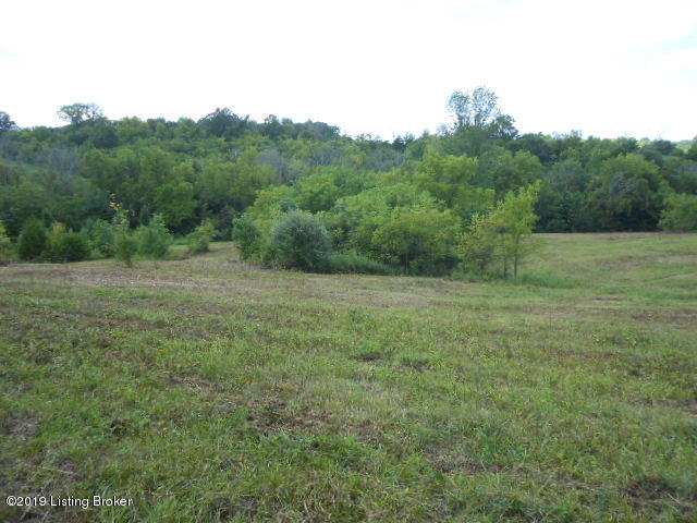 1132 Lanes Mill Road Lawrenceburg, KY 40342 - Photo 3 of 11 DSCN0931