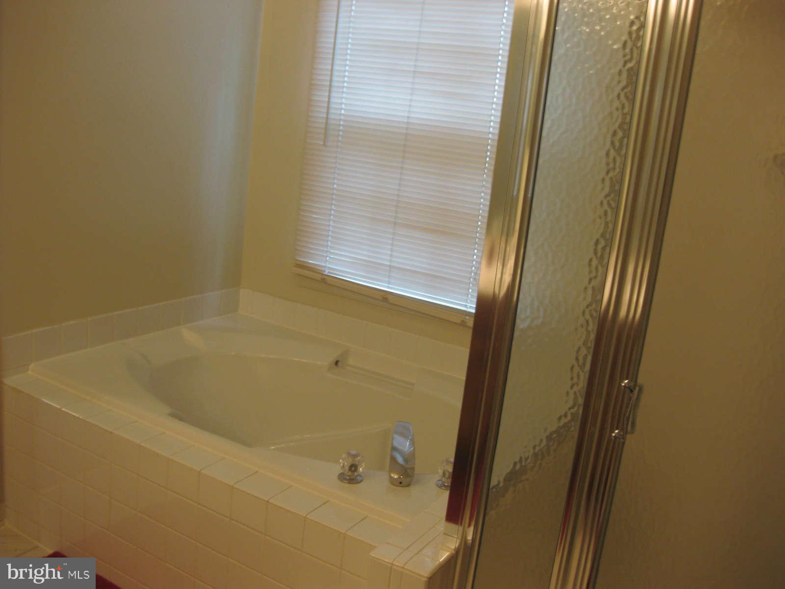 6515 Castine Lane Springfield, VA 22150 - Photo 16 of 18 Bath (Master)