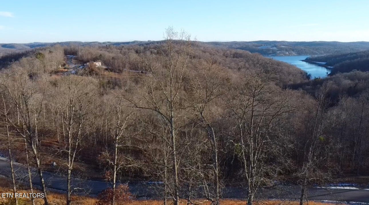 613 Prestige Ridge La Follette, TN 37766 - Photo 1 of 6 Gallery Image 1