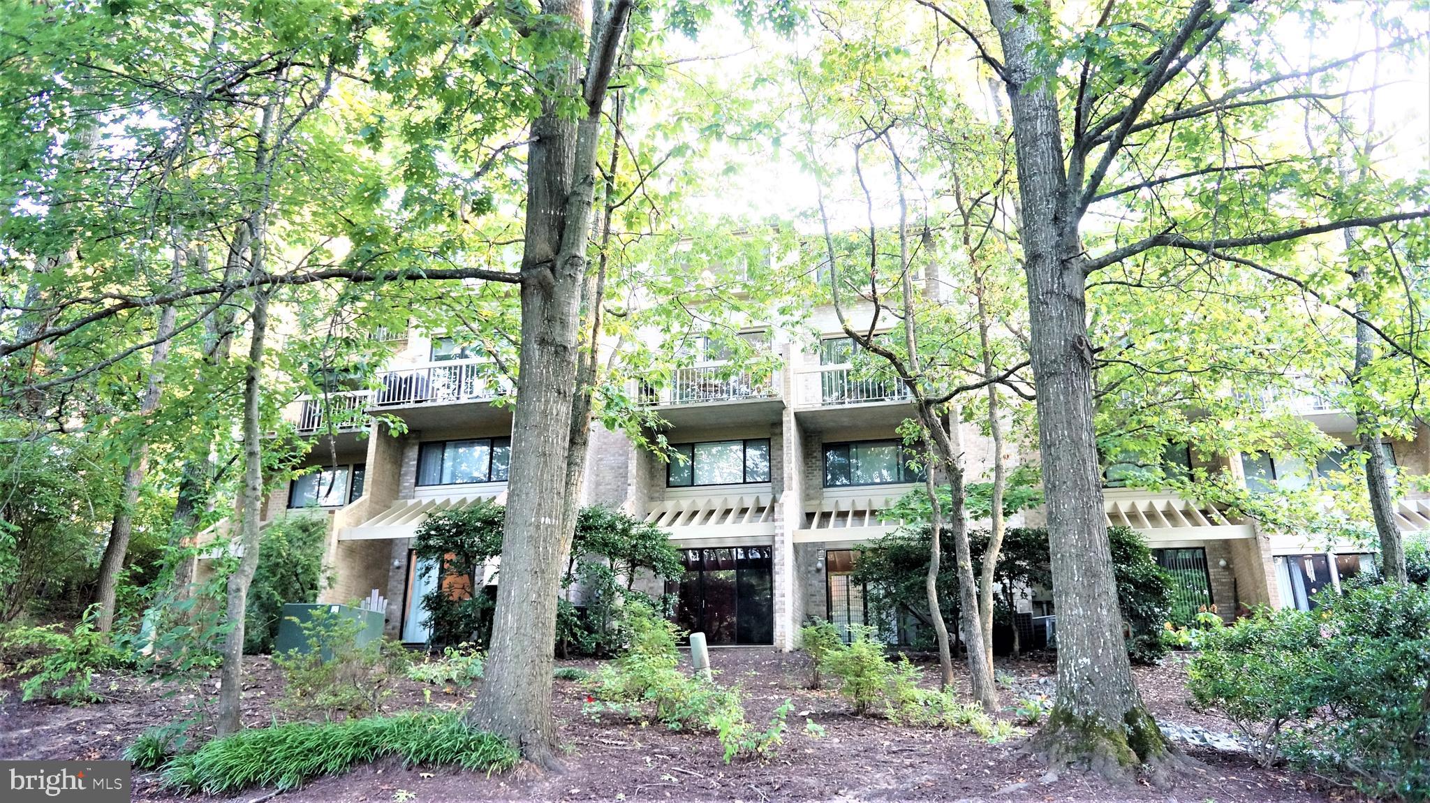 11174 Beaver Trail Court Reston, VA 20191 - Photo 3 of 43 Gallery Image 3