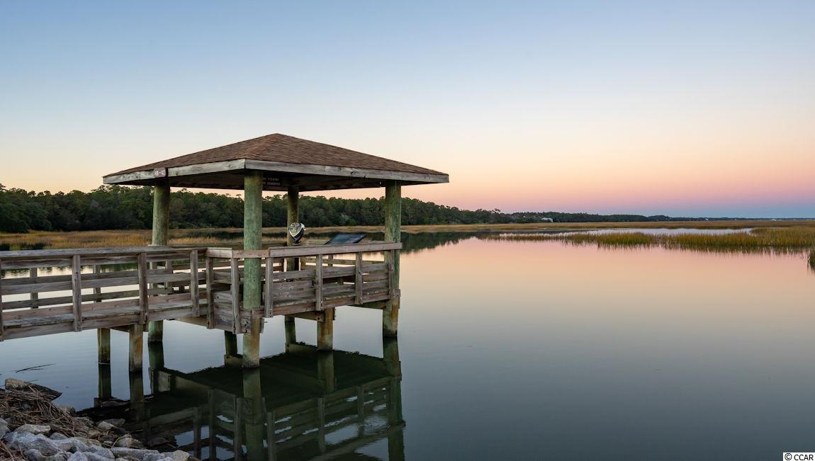 776 Old Murrells Inlet Road Murrells Inlet, SC 29576 - Photo 39 of 39 Gallery Image 39