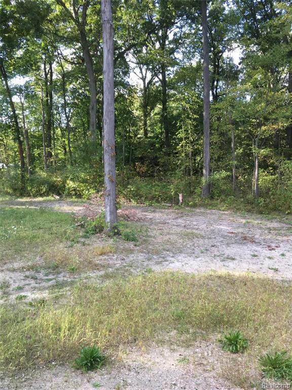 4052 Cameron Court Wixom, MI 48393 - Photo 4 of 28