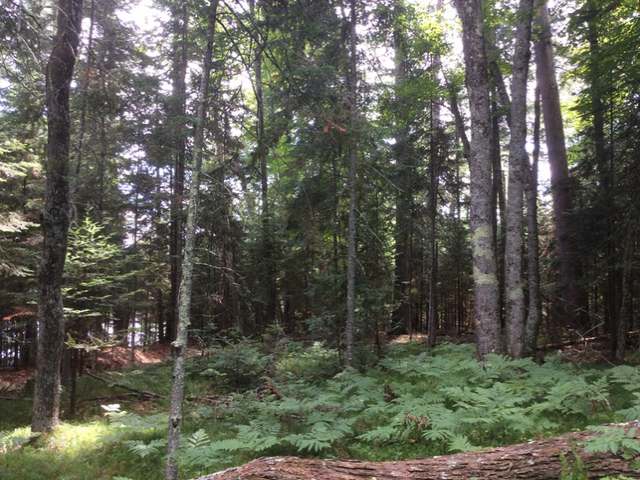 Lot 1 Birch Point Road Conover, WI 54519 - Photo 11 of 16 Gallery Image 11