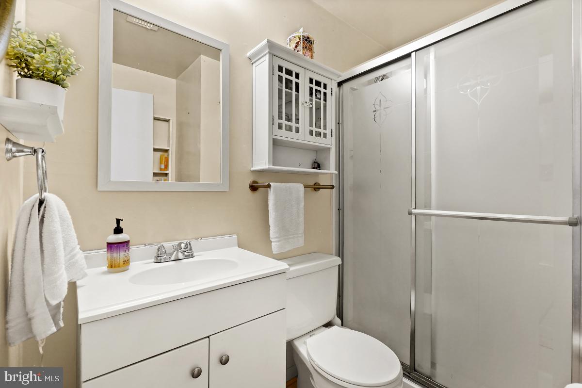 19120 Staleybridge Road Germantown, MD 20876 - Photo 30 of 37 Lower Level Full Bath