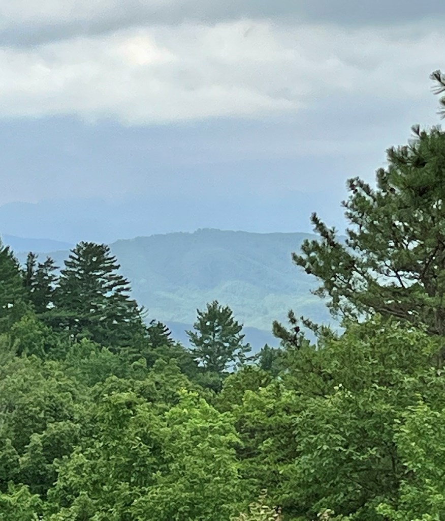 1081 Cove Road, Unit U1023 Sevierville, TN 37876 - Photo 5 of 20