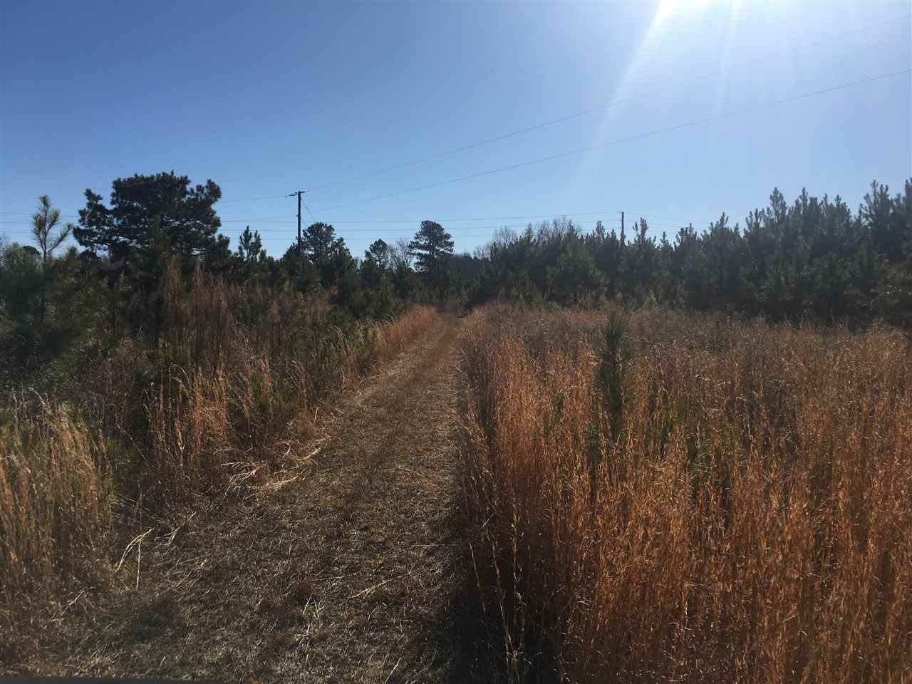 Dead Road Bunn, NC 27508 - Photo 1 of 4 Photo 1
