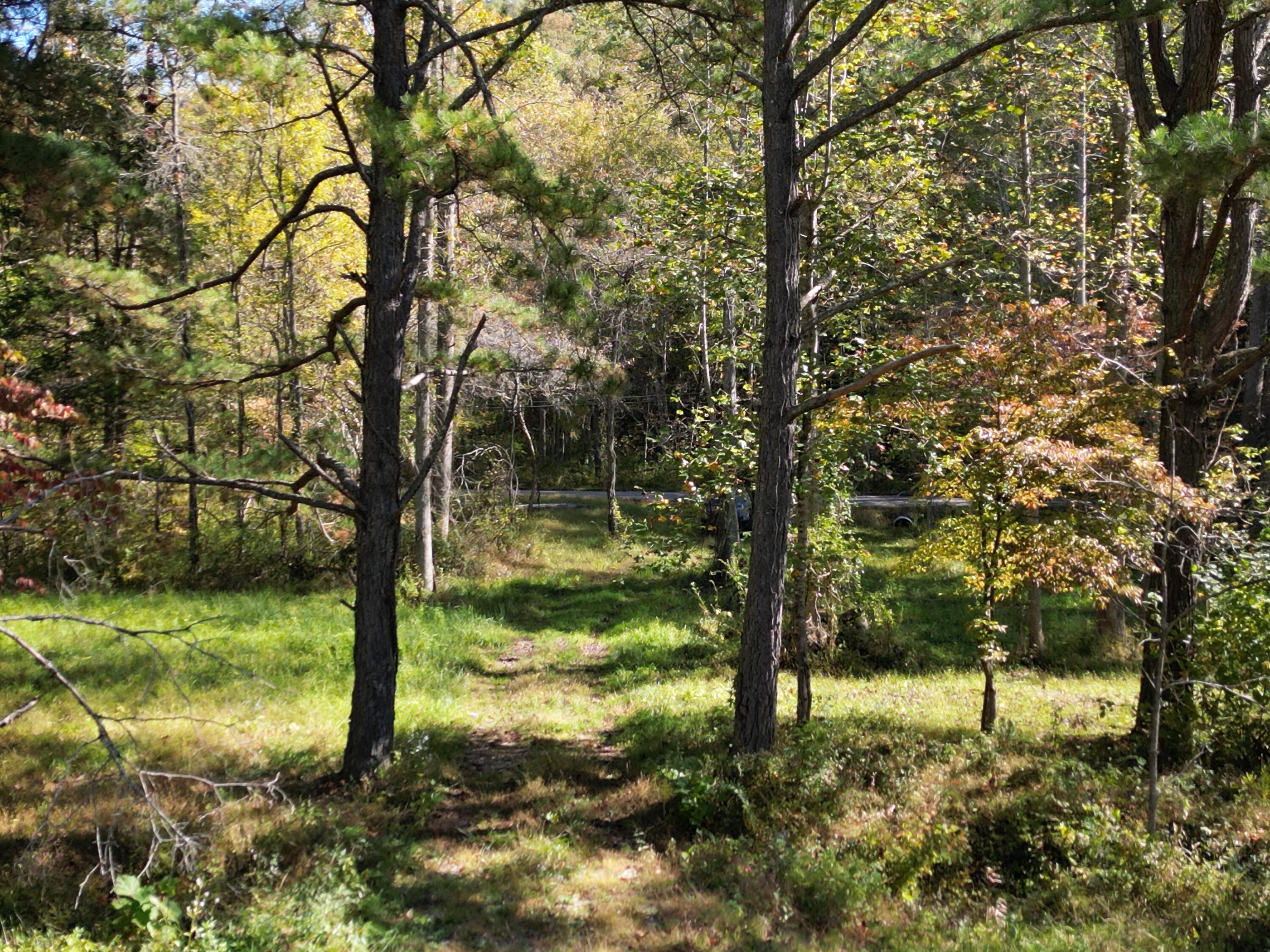 9999 Reed Branch Road Manchester, KY 40962 - Photo 8 of 48 DJI_0803