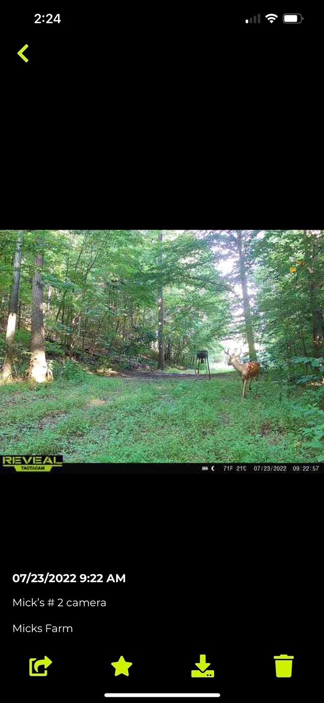 0 Deer Valley Road Ashland, KY 41144 - Photo 1 of 1