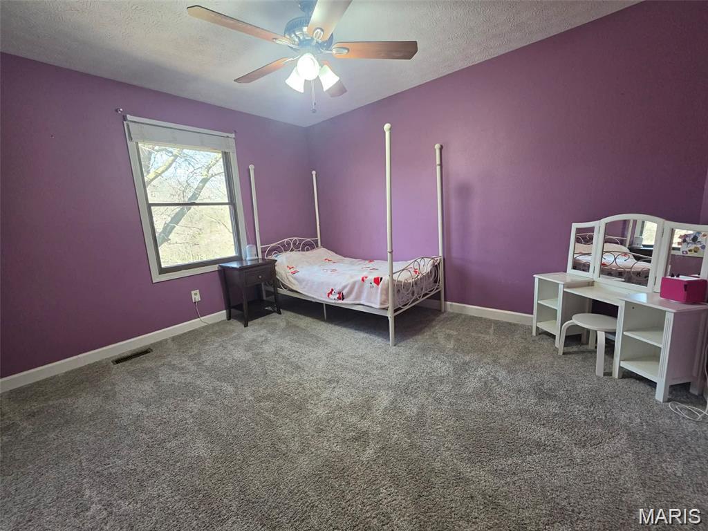 1993 Mapleleaf Drive Collinsville, IL 62234 - Photo 14 of 21