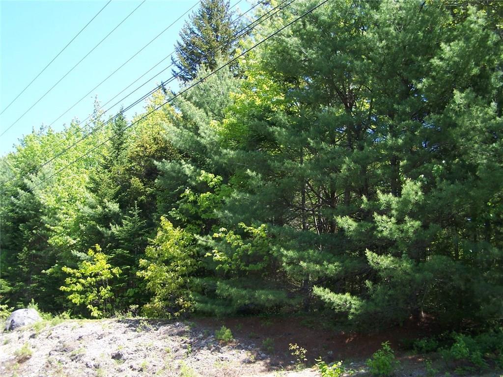 0 Rt 1 Gouldsboro Point Road Gouldsboro, ME 04607 - Photo 14 of 15 Photo