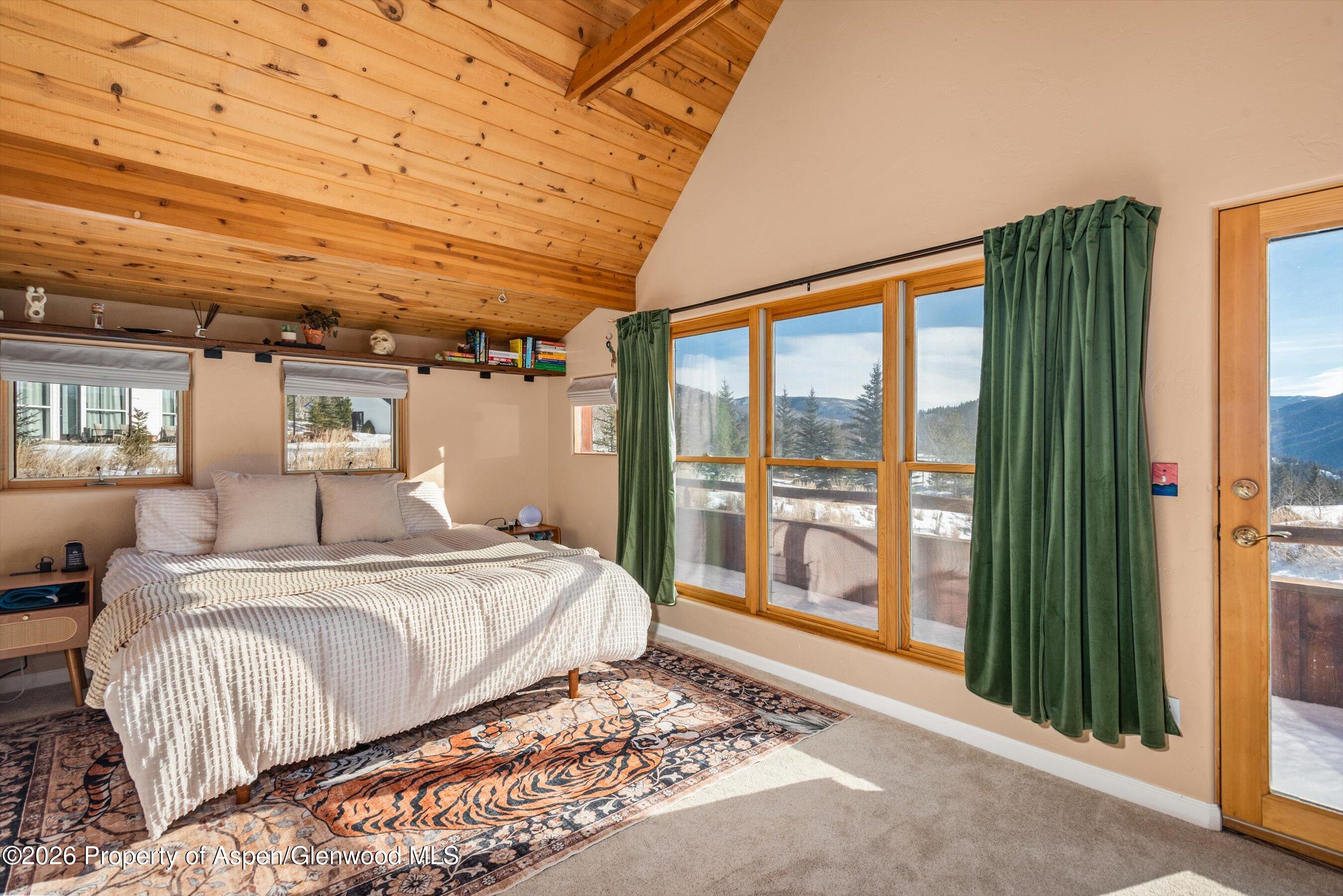 133 Hawk Lane Basalt, CO 81621 - Photo 11 of 34 43-133HawkLn_251214016