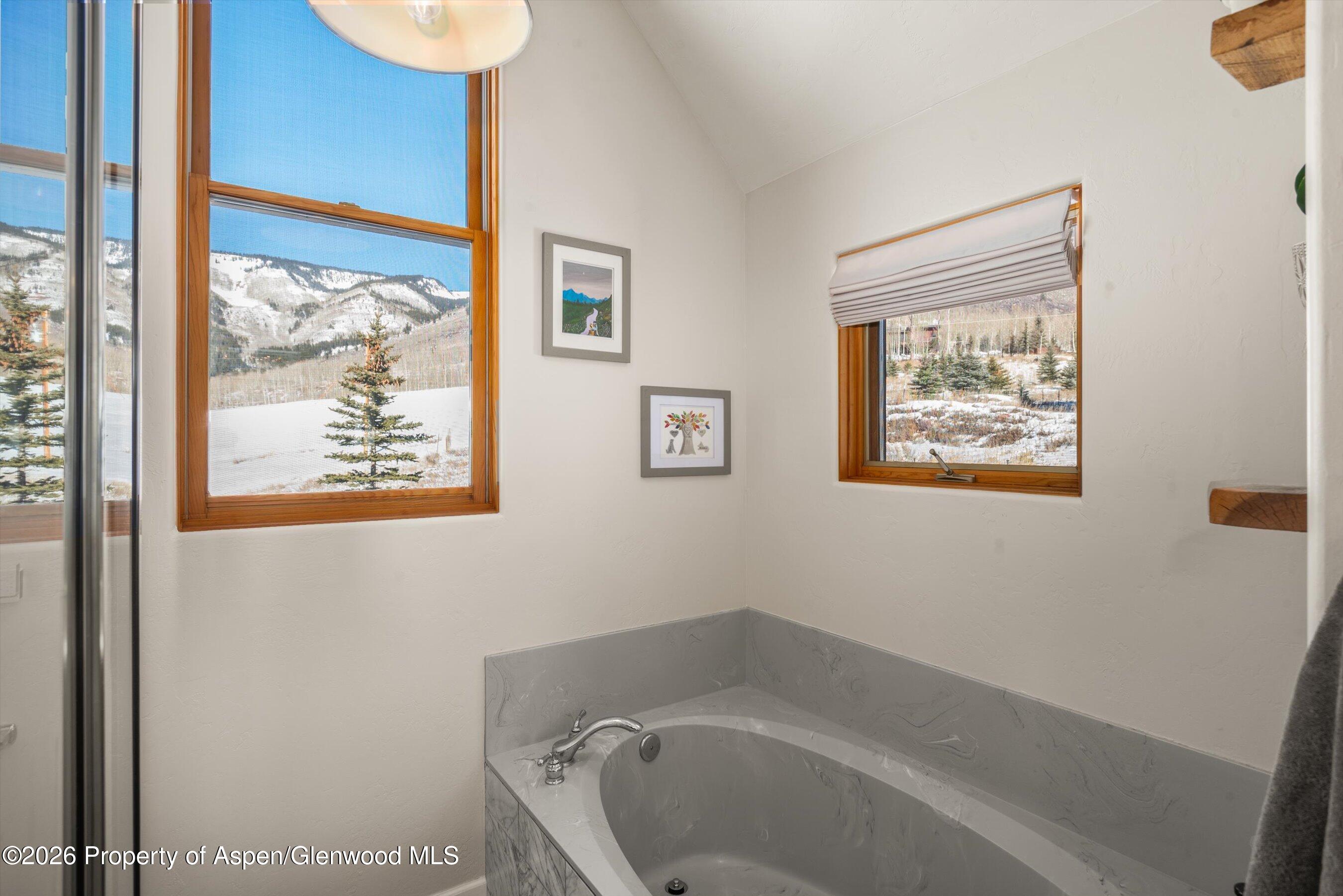 133 Hawk Lane Basalt, CO 81621 - Photo 15 of 34 46-133HawkLn_251214019