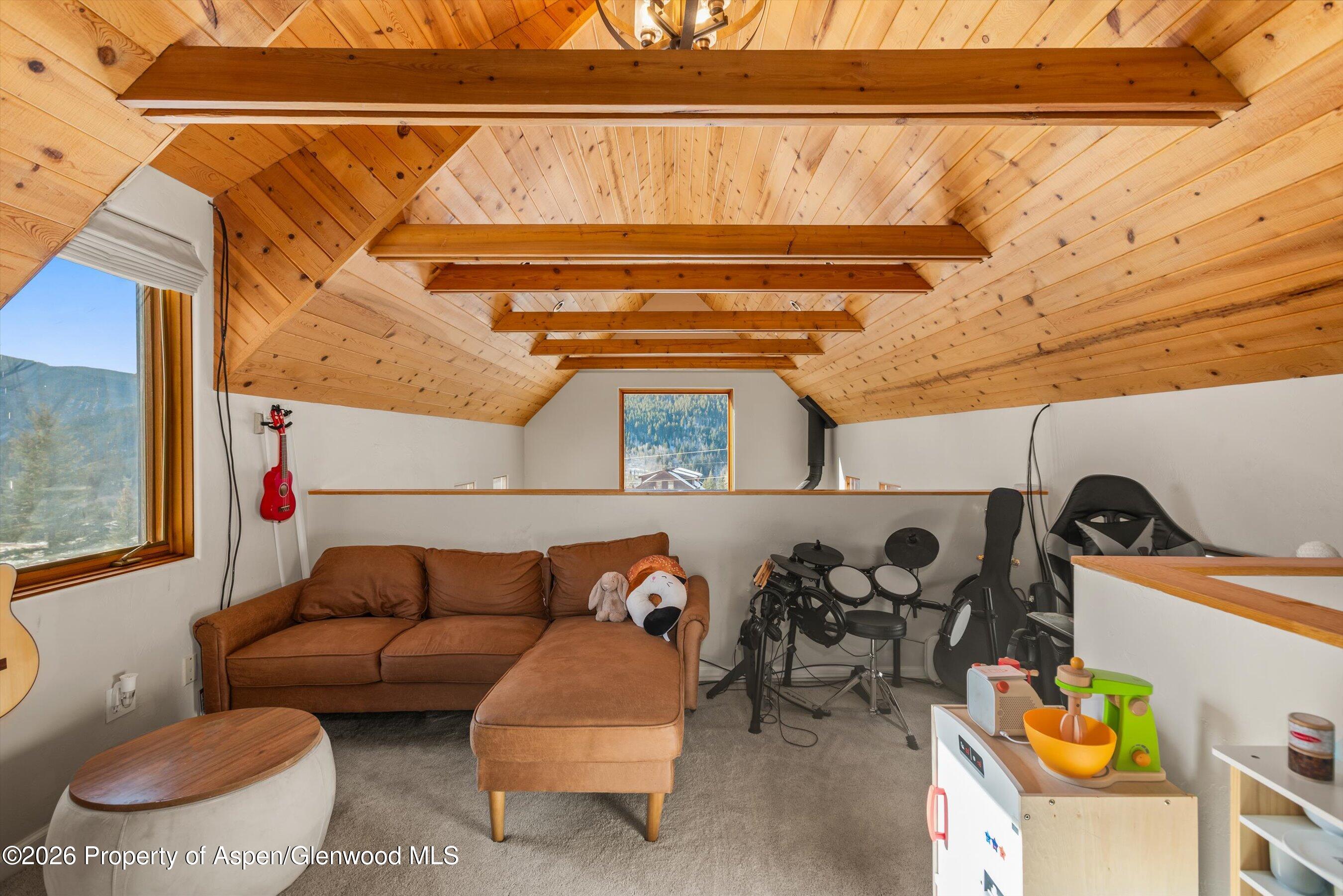 133 Hawk Lane Basalt, CO 81621 - Photo 16 of 34 48-133HawkLn_251214021