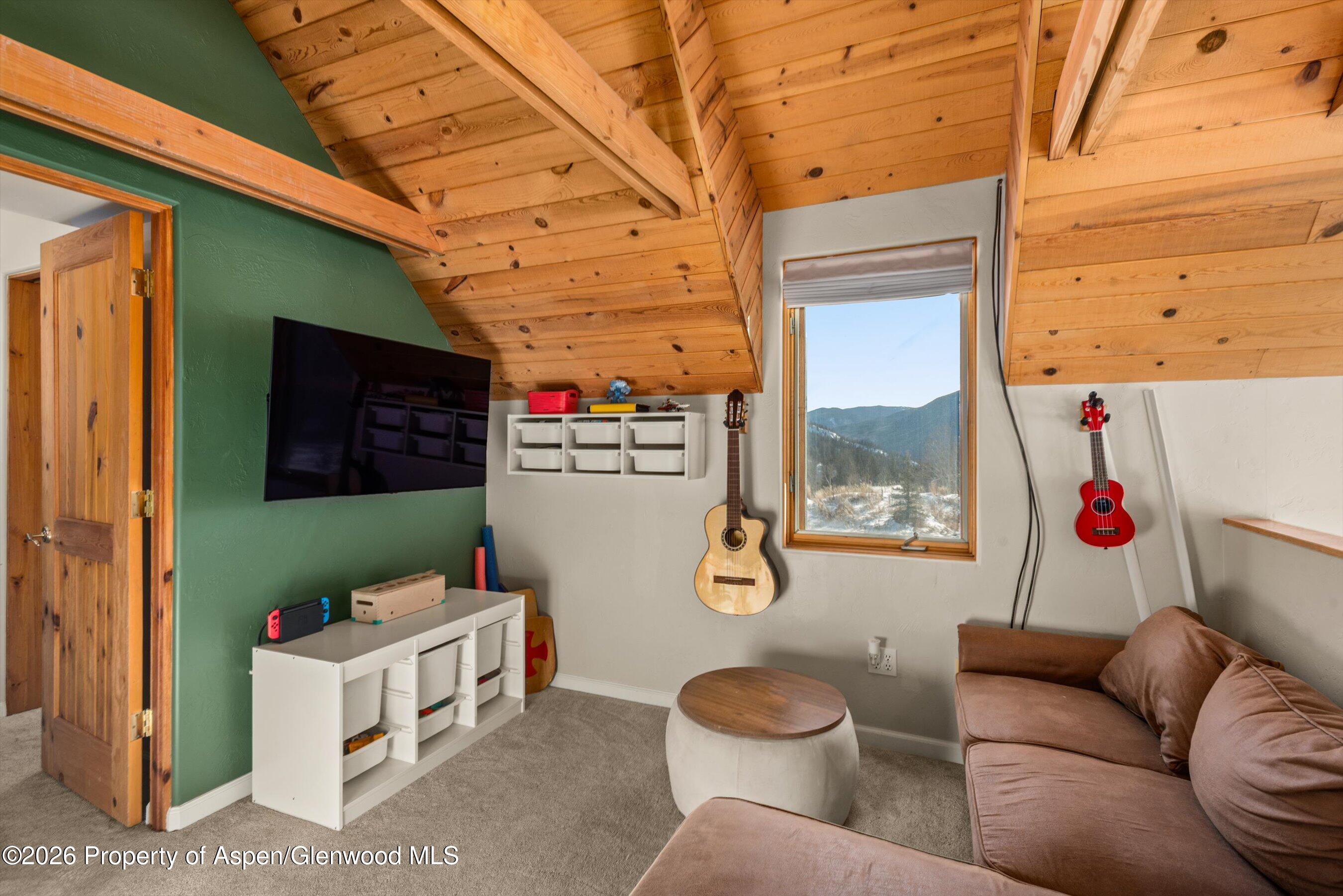 133 Hawk Lane Basalt, CO 81621 - Photo 17 of 34 49-133HawkLn_251214022