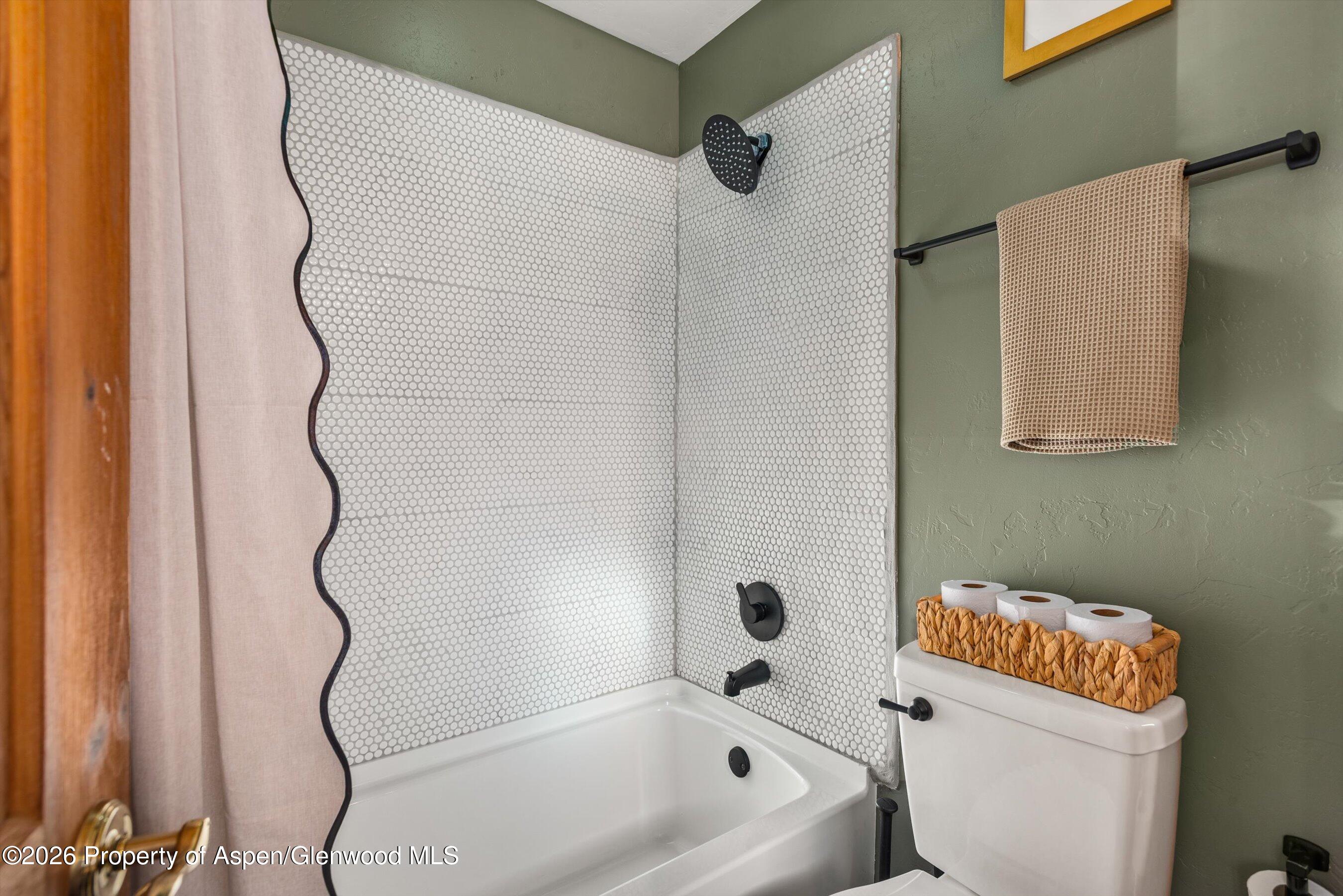133 Hawk Lane Basalt, CO 81621 - Photo 20 of 34 52-133HawkLn_251214025