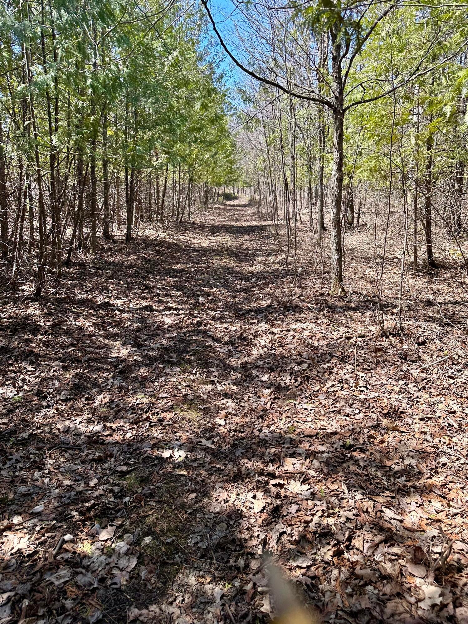 Monaghan Point Road Alpena, MI 49707 - Photo 4 of 11 Gallery Image 4