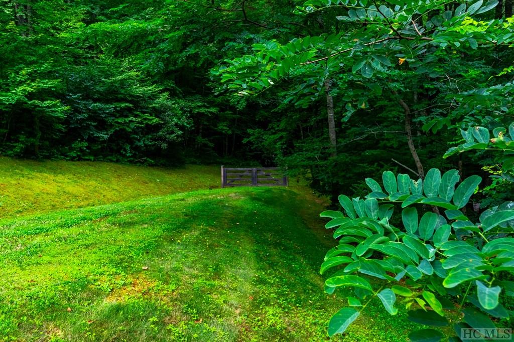 Tbd Laurel Knob Road Cashiers, NC 28717 - Photo 28 of 37 Gallery Image 28