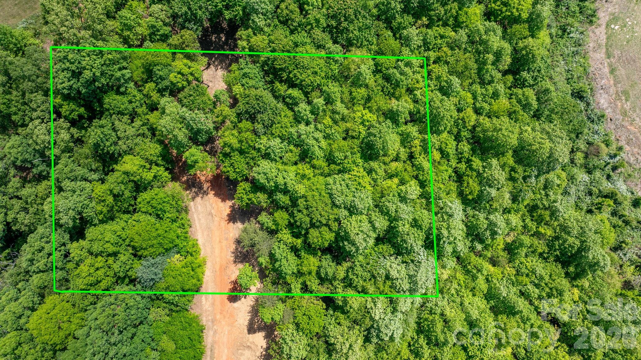 0 Stikeleather Road Hiddenite, NC 28636 - Photo 6 of 28 a backyard of a house with lots of trees