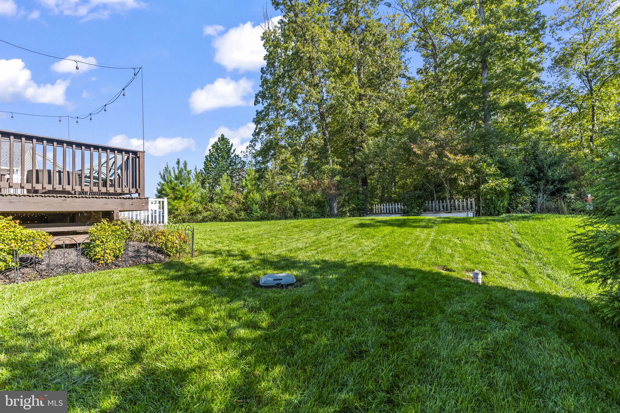 24334 Daphne Road Hollywood, MD 20636 - Photo 53 of 59 back yard