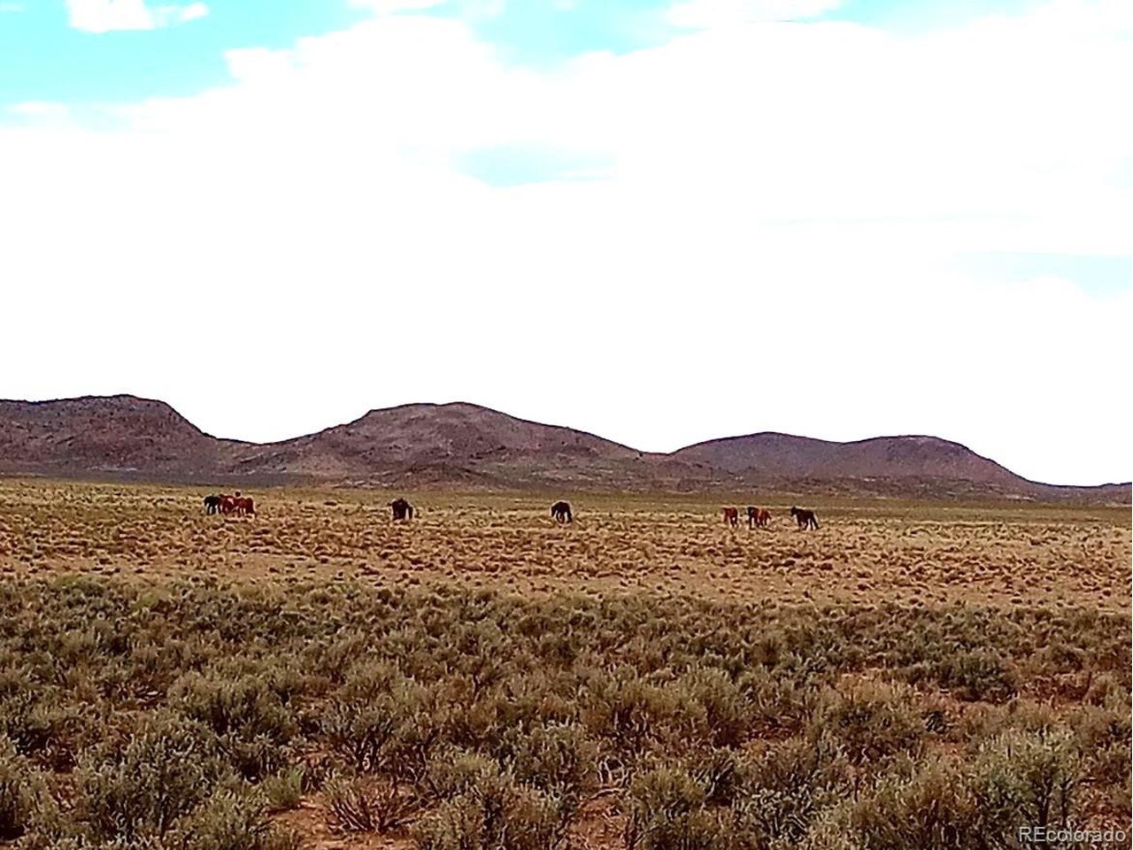 40 County Road Sanford, CO 81151 - Photo 12 of 19