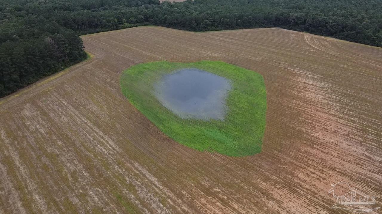 7600 Bratt Road Century, FL 32535 - Photo 8 of 41