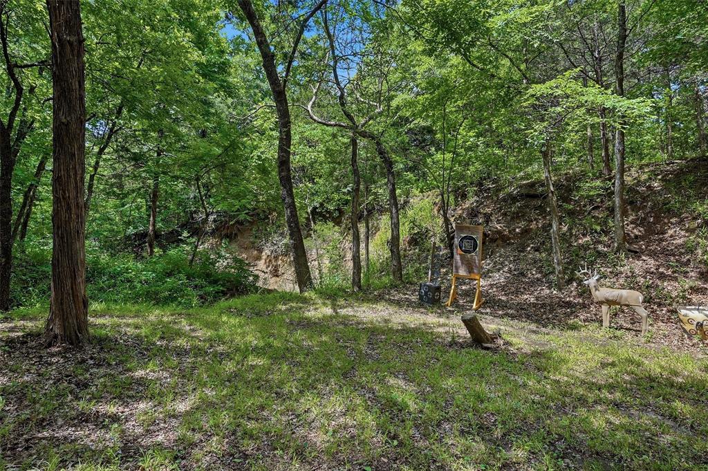 3958 Ranch Road Whitesboro, TX 76273 - Photo 35 of 40 Wooded acreage with mature trees and a sloped, natural rock formation