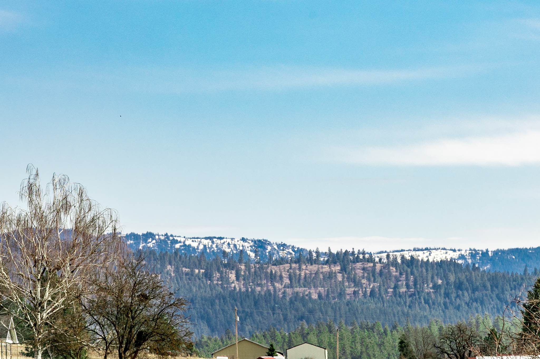6411 East Big Meadows Road Chattaroy, WA 99003 - Photo 50 of 50
