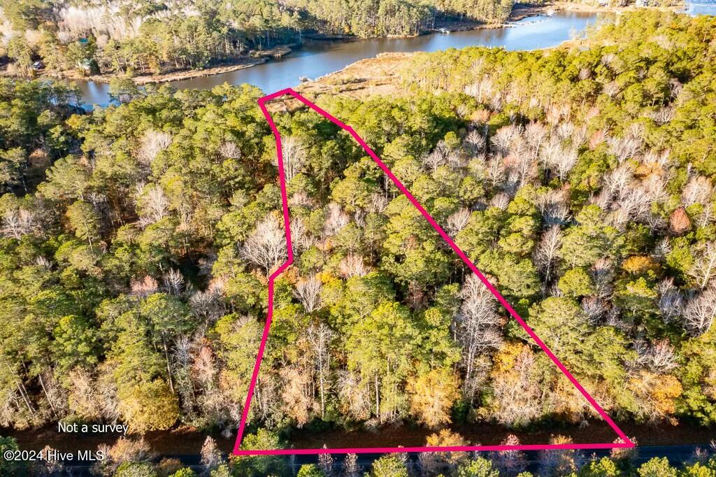 427 Bell Point Road Merritt, NC 28556 - Photo 5 of 20 tempImageH6VIs2