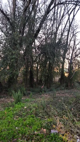 $165,000 | 8203 Old Lee Highway, Ooltewah, TN 37363