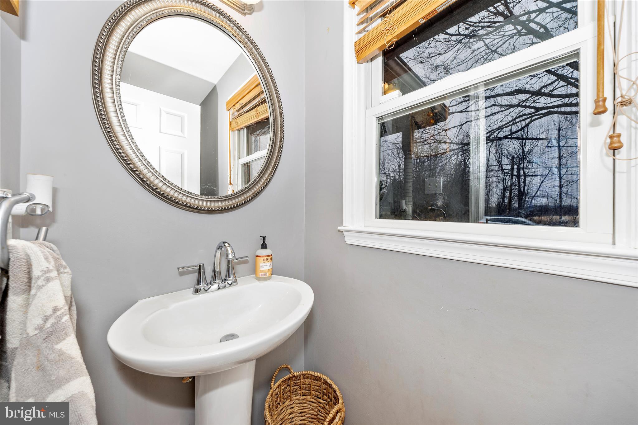 4120 Petersville Road Knoxville, MD 21758 - Photo 19 of 52 a bathroom with a sink and a mirror