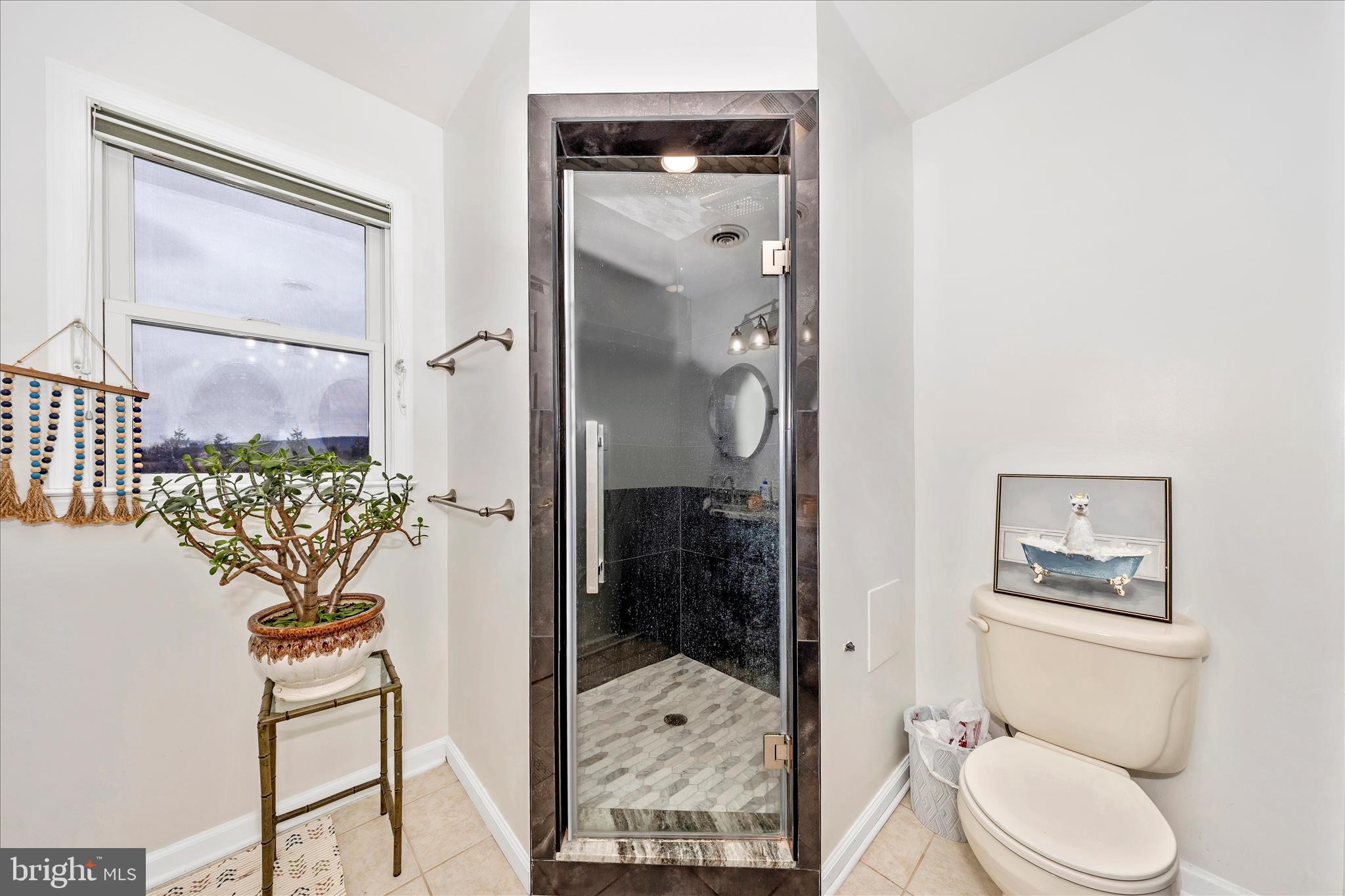 4120 Petersville Road Knoxville, MD 21758 - Photo 24 of 52 a bathroom with a toilet sink and shower