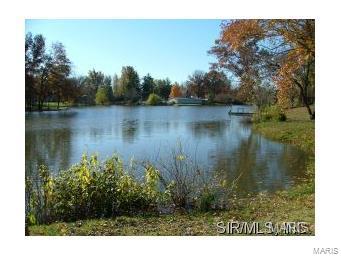 4816 Multiflora Drive Waterloo, IL 62298 - Photo 12 of 34