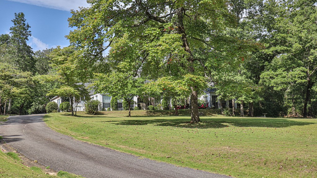 418 Oak Road Warm Springs, GA 31830 - Photo 5 of 44 Gallery Image 5