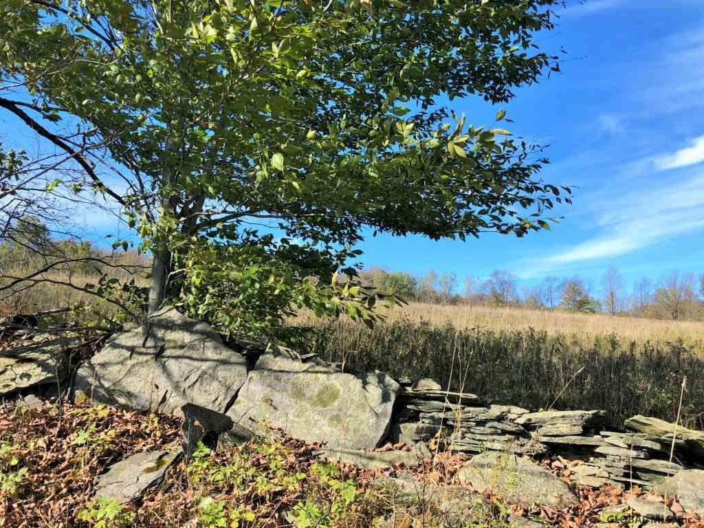 143 Hall Road Worcester, NY 12197 - Photo 58 of 61 Photo 60