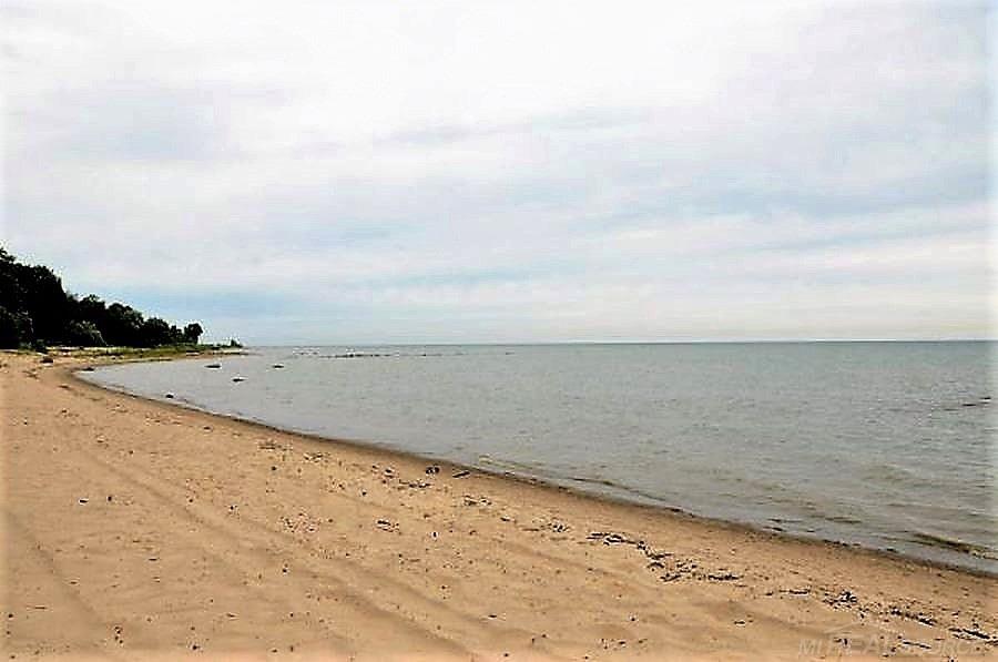 1865 South Lakeshore Road Carsonville, MI 48419 - Photo 47 of 50 Walk forever!