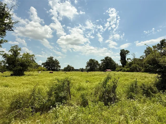 a view of a big yard with lots of green space and lake view