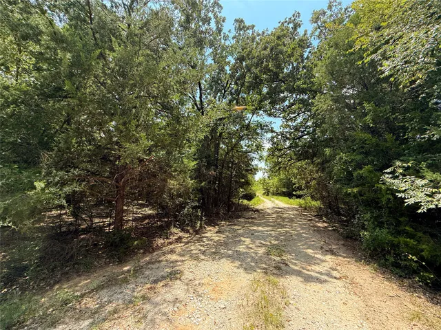 a view of a yard with plants and trees
