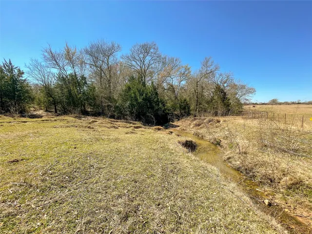 a view of a yard with trees in the background