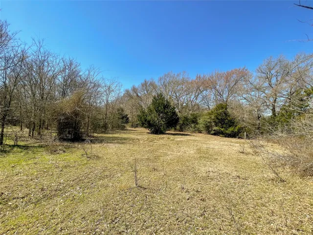 a view of a yard with trees in the background