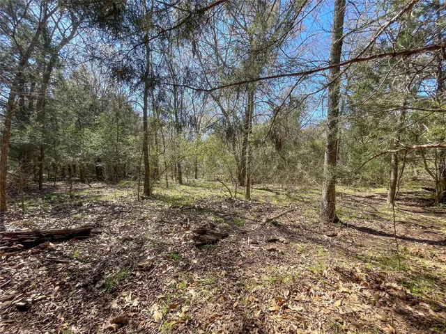 a view of yard covered with snow