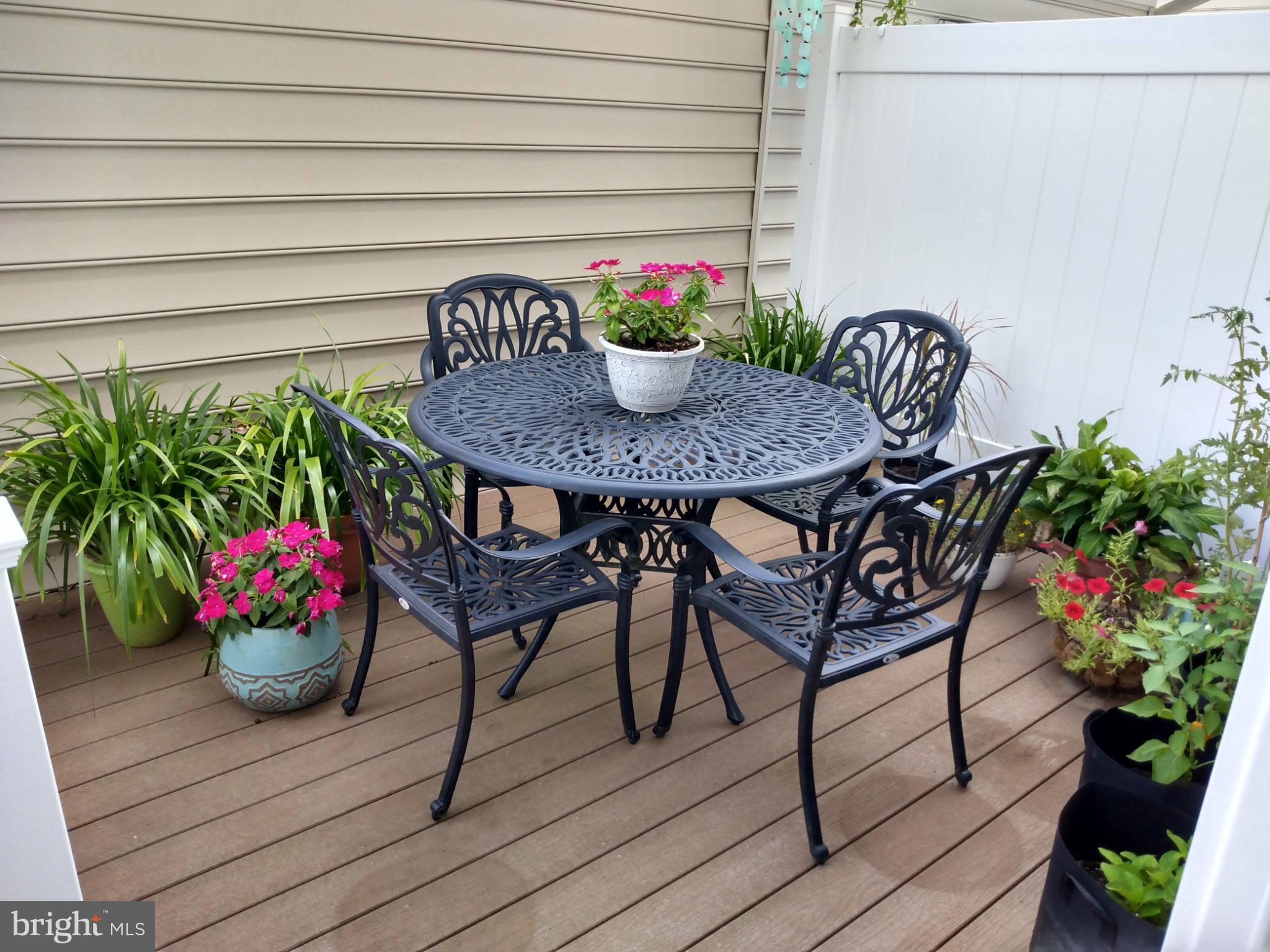 3838 Jacob Stout Road Doylestown, PA 18902 - Photo 42 of 53 Back Deck