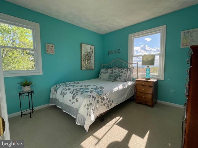 2539 Bert Fowler Road Hampstead, MD 21074 - Photo 29 of 65 Bedroom #2-NEW Carpet & Great Natural Light