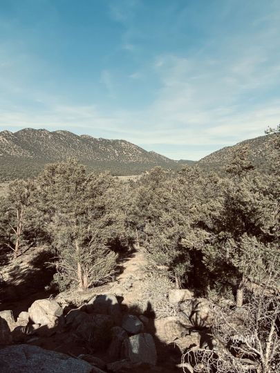 Sacatar Road Inyokern, CA 93527 - Photo 7 of 22 Gallery Image 7
