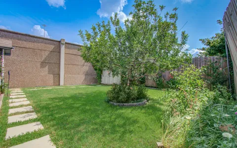a view of a backyard with plants