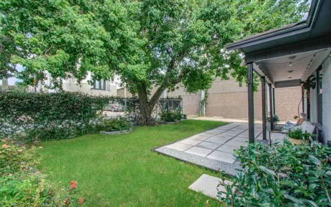 a view of a backyard with plants and large tree