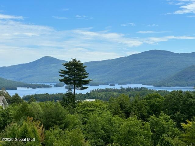 72 Mohican Road Bolton, NY 12814 - Photo 69 of 82 IMG_7728