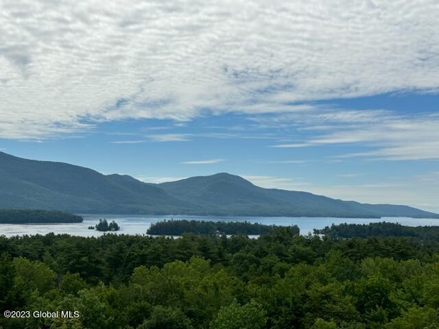 72 Mohican Road Bolton, NY 12814 - Photo 82 of 82 IMG_7731