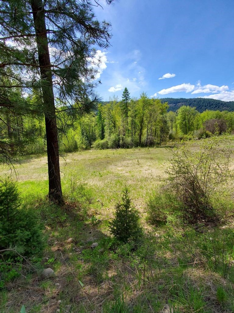 2692 Hall Creek Road Inchelium, WA 99138 - Photo 3 of 8