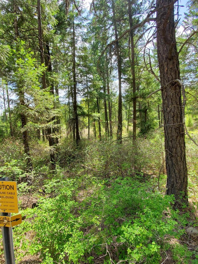2692 Hall Creek Road Inchelium, WA 99138 - Photo 4 of 8